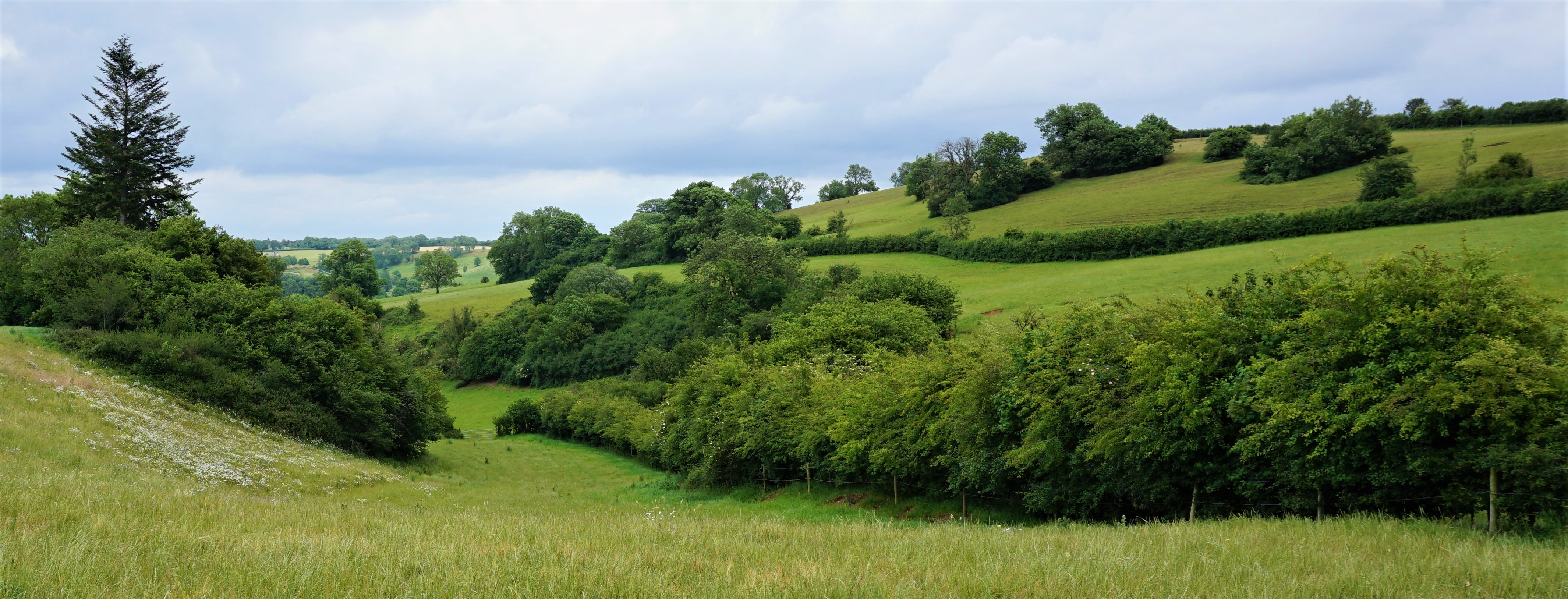Top Ten Tourist Destinations Near Chesterblade Hills for Guests of Our Wild Campsite