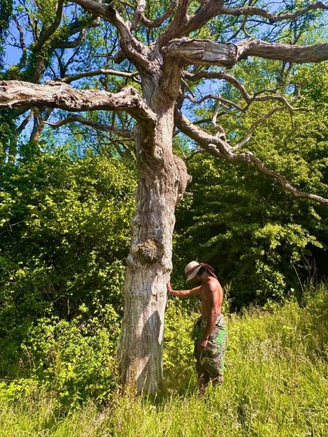 Rewild Your Spirit: The Hidden Health Benefits of Chesterblade Hills